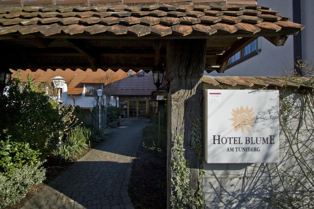 Hotel Blume Friburgo de Brisgovia Exterior foto